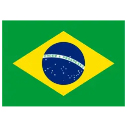 português (Brasil)
